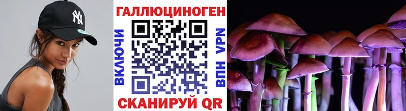 Галлюциногенные грибы ЛСД  Купить где  Болхов 